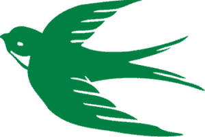 FC Schwalbe Logo