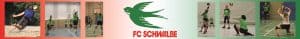 Volleyball FC Schwalbe Hannover