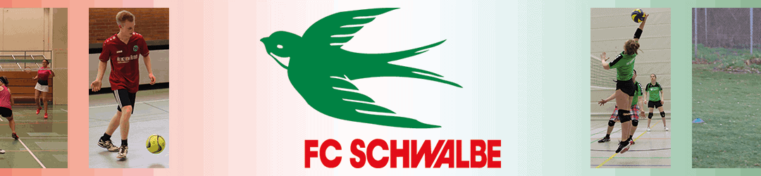 Schwalbe_Header_Startseite_02