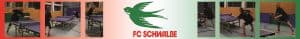 Tischtennis FC Schwalbe Hannover