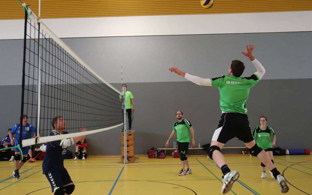 170429-volleyball-storchencup-2017-01