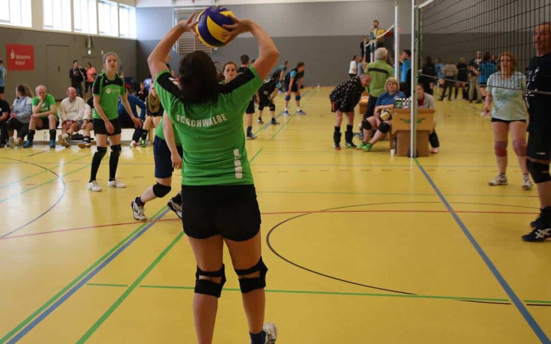 170429-volleyball-storchencup-2017-17