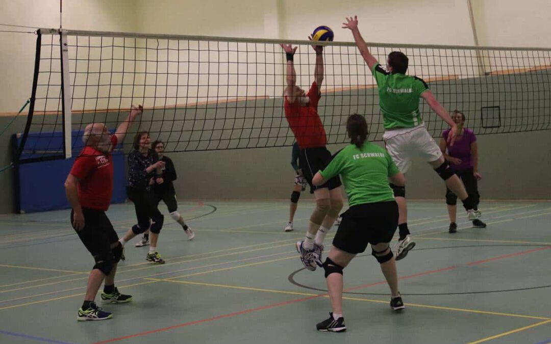 171108-volleyball-rsv-schwalbe1-01