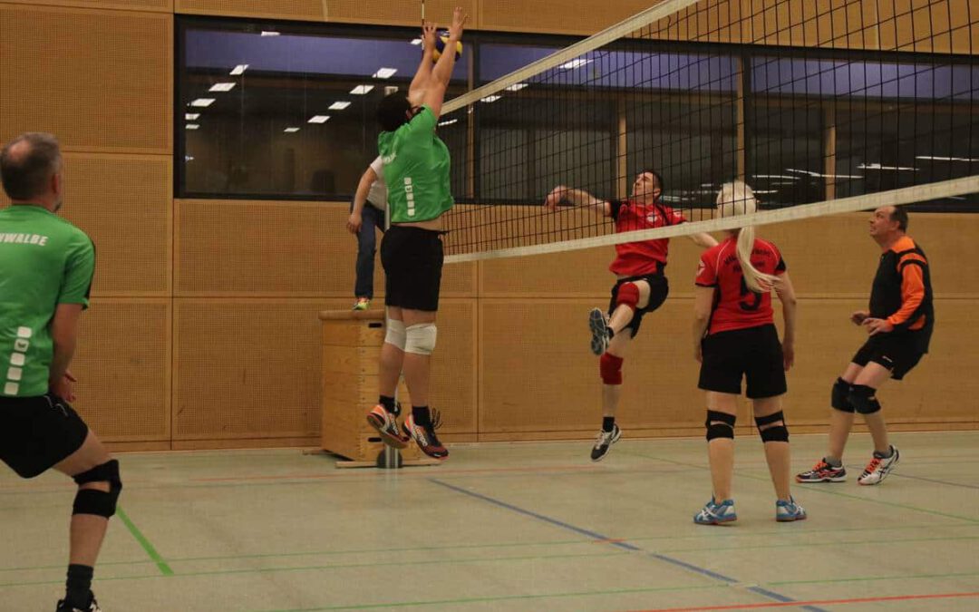 171113-volleyball-vfl-eintracht-schwalbe1-03