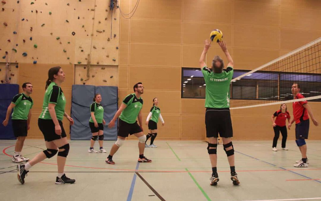 171113-volleyball-vfl-eintracht-schwalbe1-05
