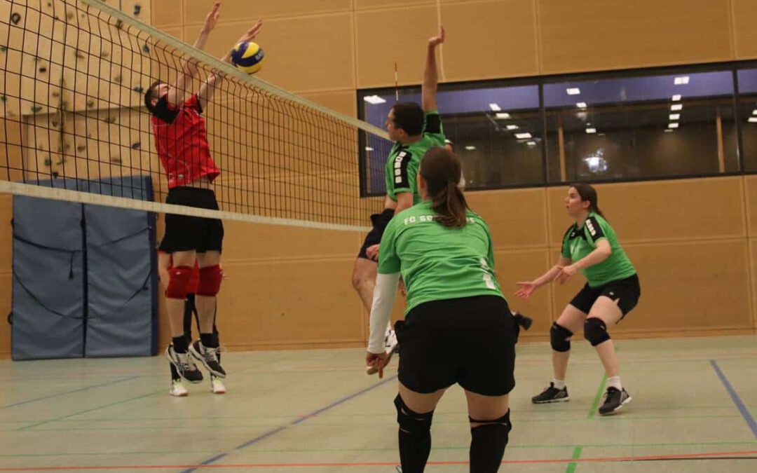 171113-volleyball-vfl-eintracht-schwalbe1-07