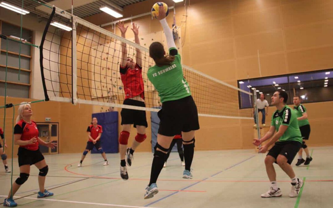 171113-volleyball-vfl-eintracht-schwalbe1-08