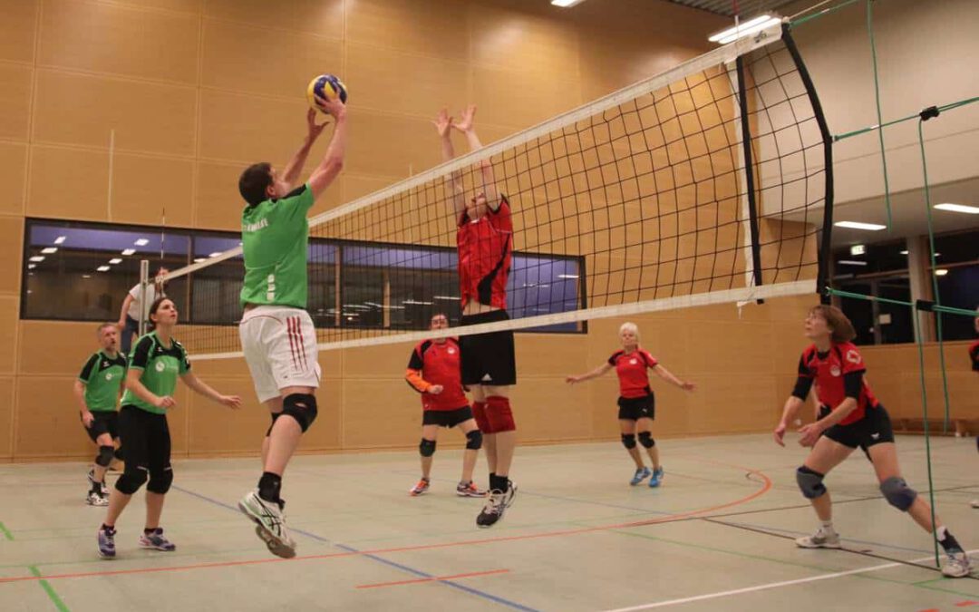 171113-volleyball-vfl-eintracht-schwalbe1-10