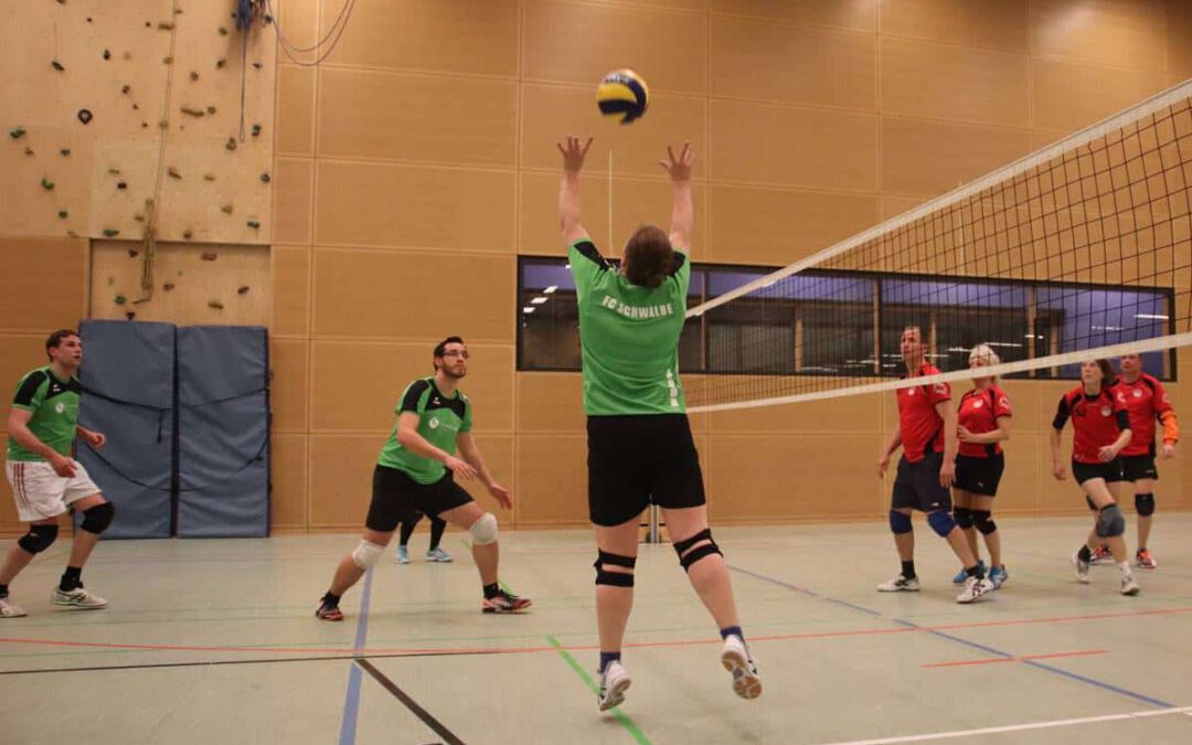171113-volleyball-vfl-eintracht-schwalbe1-11