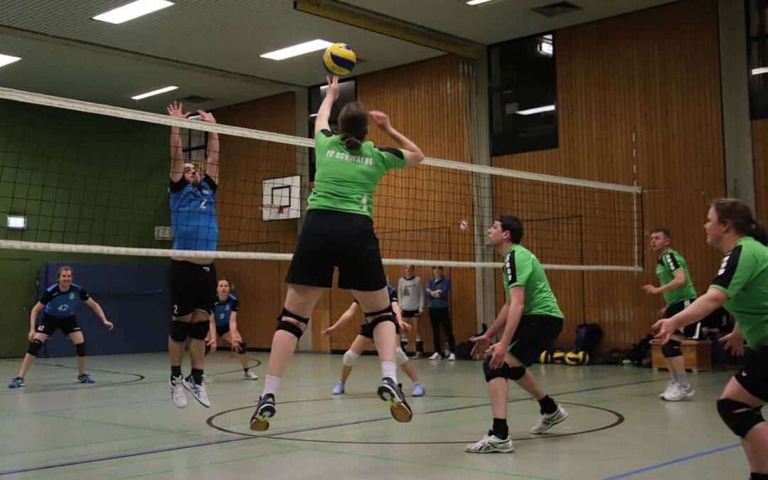 180117-volleyball-sg74-schwalbe1-02