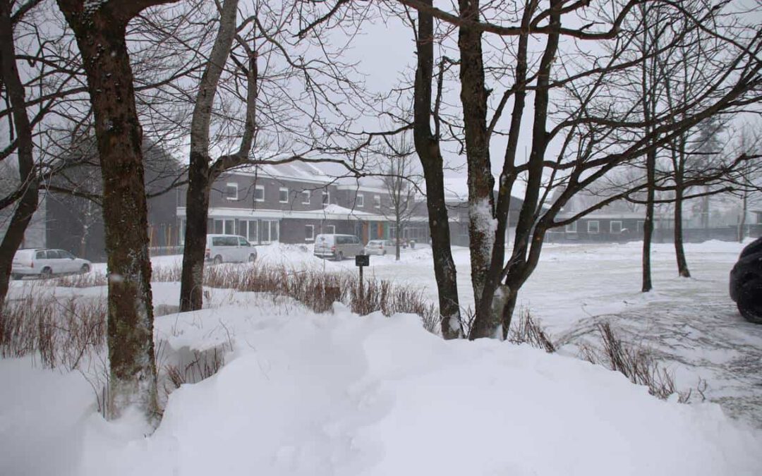 180318-volleyball-harz-2018-13