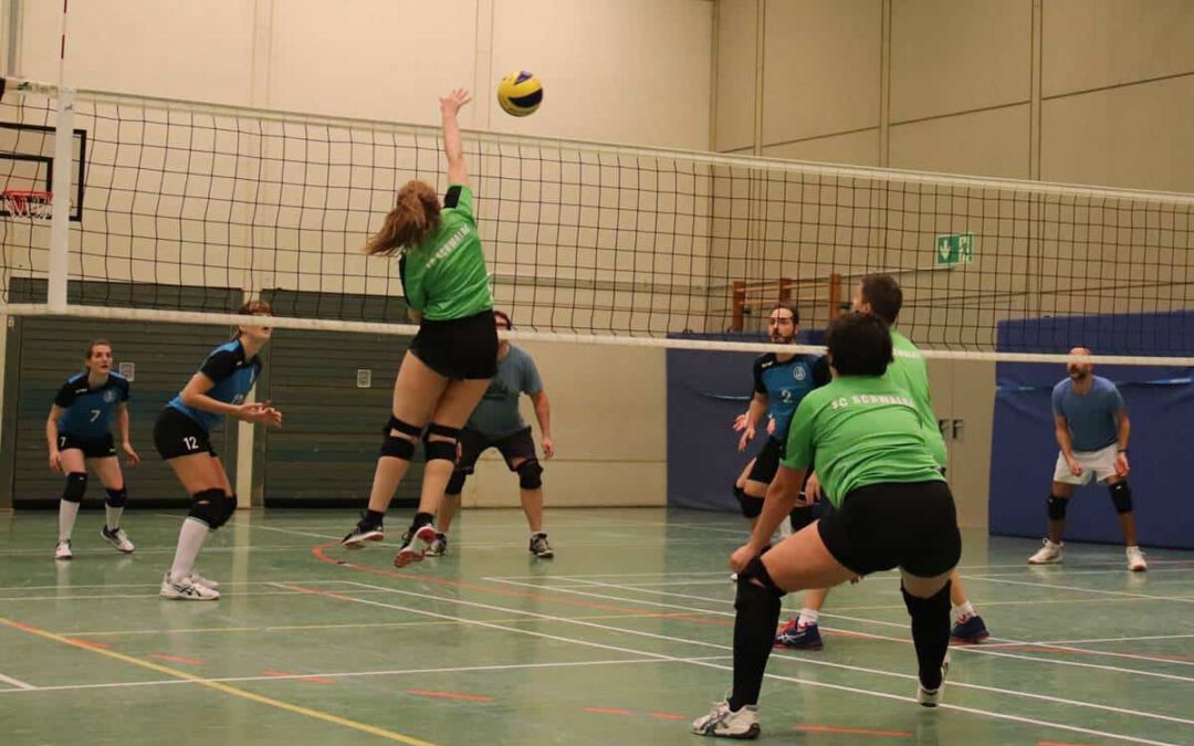 181218-volleyball-schwalbe2-sg744-06