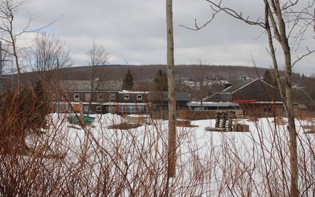 20220304_volleyball_harz2022_02