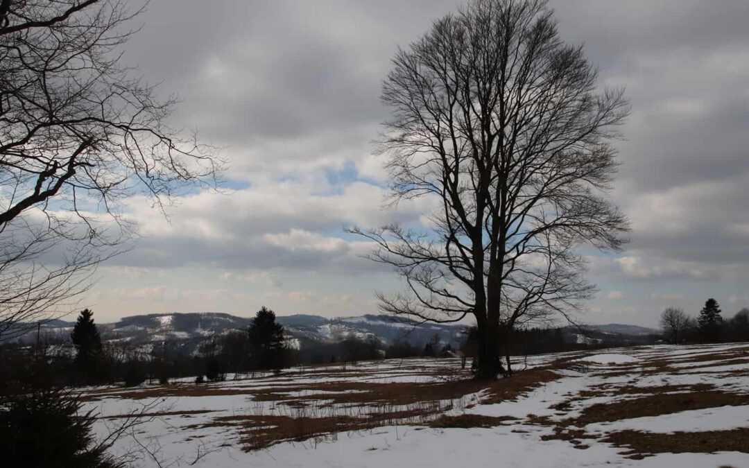 20220304_volleyball_harz2022_03